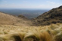 DSC00714