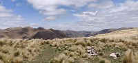 IMG_20191101_130035