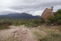 DSC00720