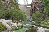 DSC00738