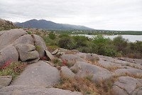 DSC00742
