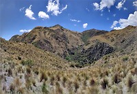 IMG_20191104_140713-PANO (2)