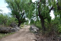 DSC00861