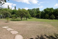 DSC00874