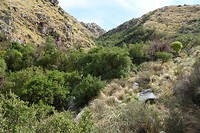 DSC00875