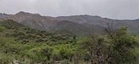 IMG_20191113_065153