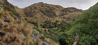 IMG_20191113_085425