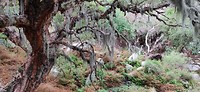 IMG_20191113_092230