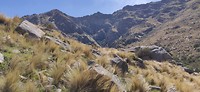 IMG_20191113_104851