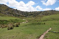 DSC00995