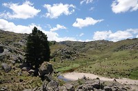 DSC01002