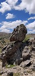 IMG_20191121_133509