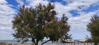 IMG_20191130_165430
