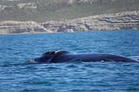 DSC01057