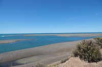 DSC01101