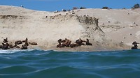 IMG_5134