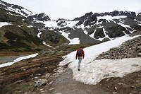 DSC01176 (2)