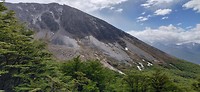 IMG_20191209_110907
