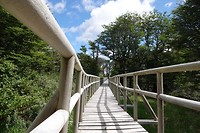 DSC01221