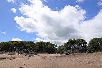 DSC01227 (2)