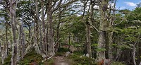 IMG_20191212_102315