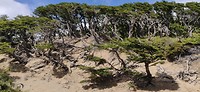 IMG_20191212_120858