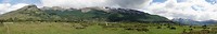 DSC01248 (2)