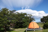DSC01250 (2)