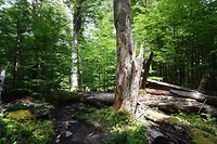 DSC01295