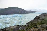 DSC01339 (2)