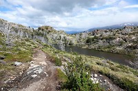 DSC01433 (2)