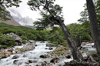 DSC01478 (2)