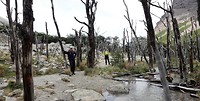 DSC01480 (2)