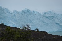 DSC01610