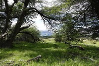 DSC01642