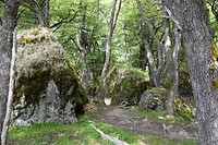 DSC01666