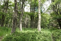 DSC01756
