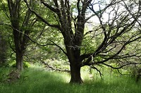 DSC01757