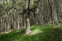 DSC01761