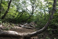 DSC01939