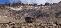 IMG_20200124_105646