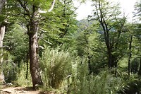 DSC01945