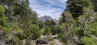 IMG_20200125_140916