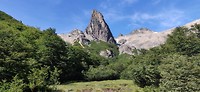IMG_20200129_103718