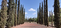 IMG_20200202_161612