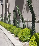 20200205_163222 (2)