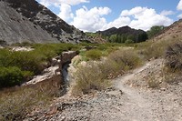 DSC02055