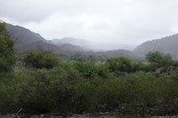 DSC02072