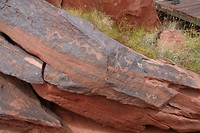 DSC02084