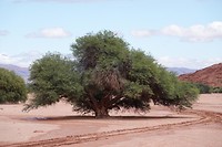DSC02091